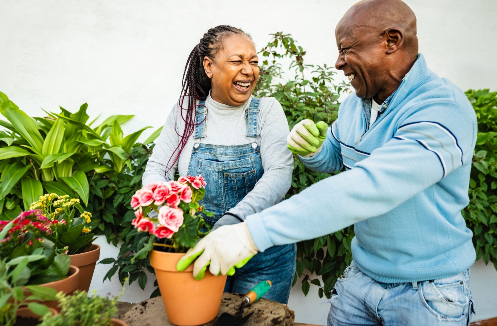 A pair of older adults laugh as they tend to a flourishing garden.